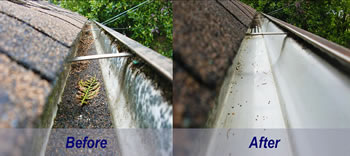 Mesh Fencing